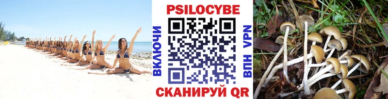 Купить где  Инта  Псилоцибиновые грибы ЛСД 
